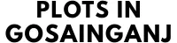 Plots In Gosainganj